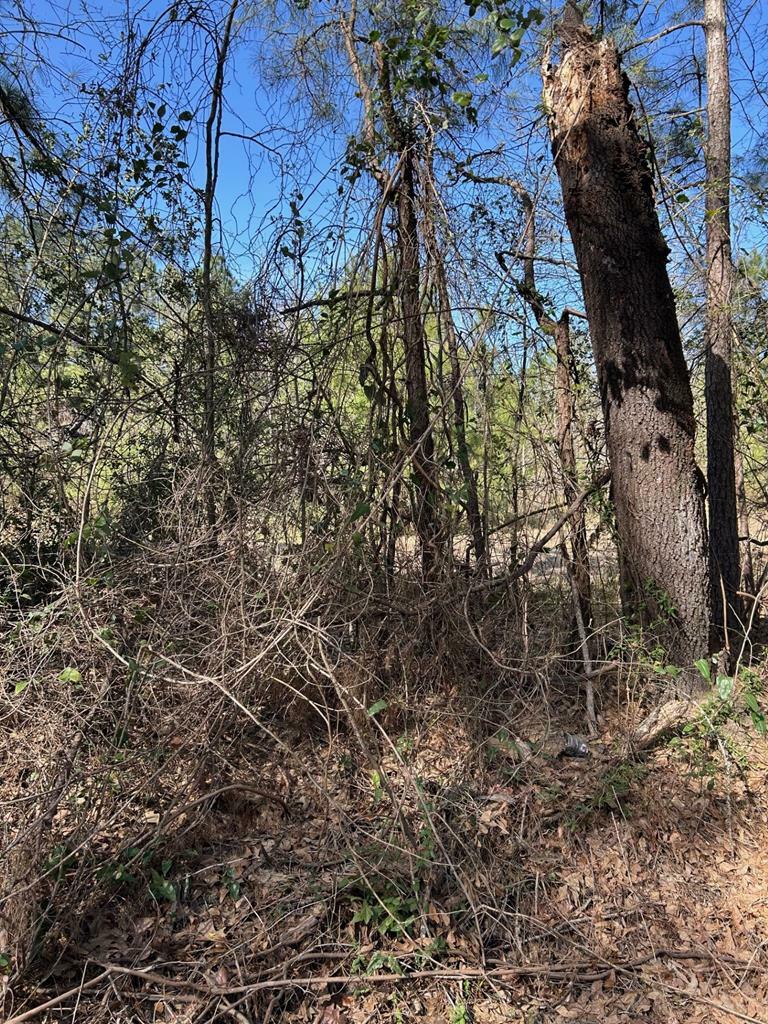 Property Photo: 200 Haddaway Lane TX 75901