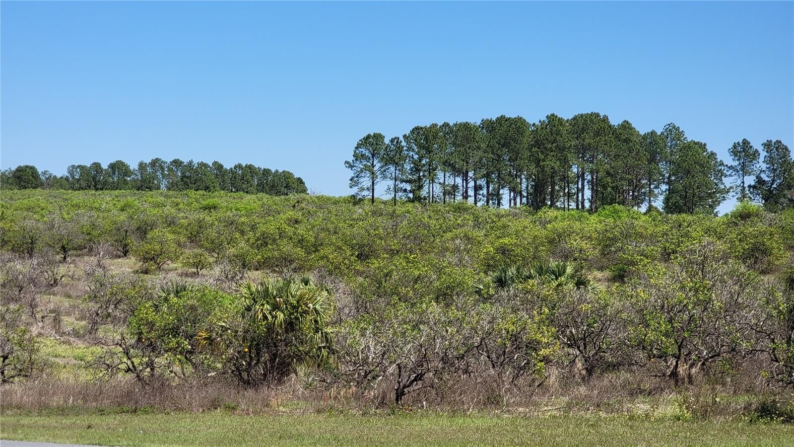 Property Photo: 0 Thrill Hill Road FL 32736