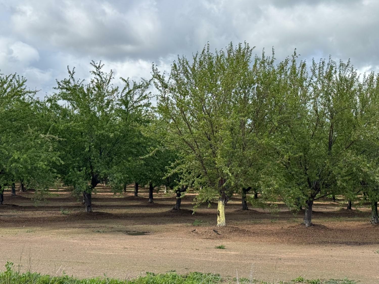 Property Photo: 0 Keys Road CA 95668