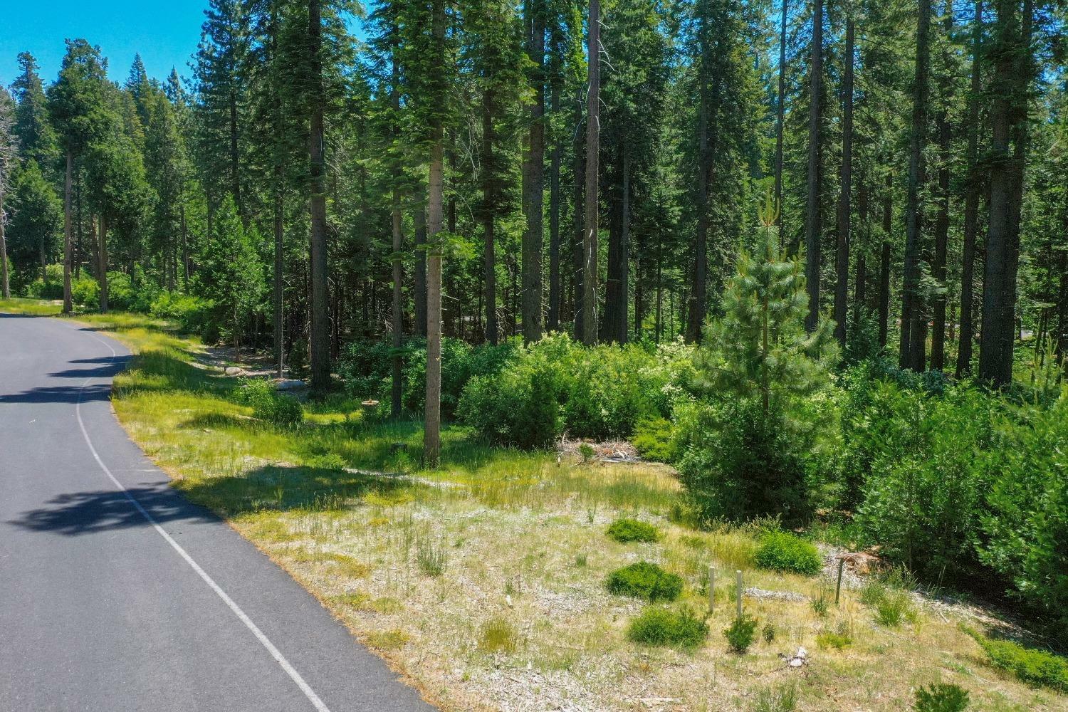 Property Photo: 11 Timber Trail Court CA 95223
