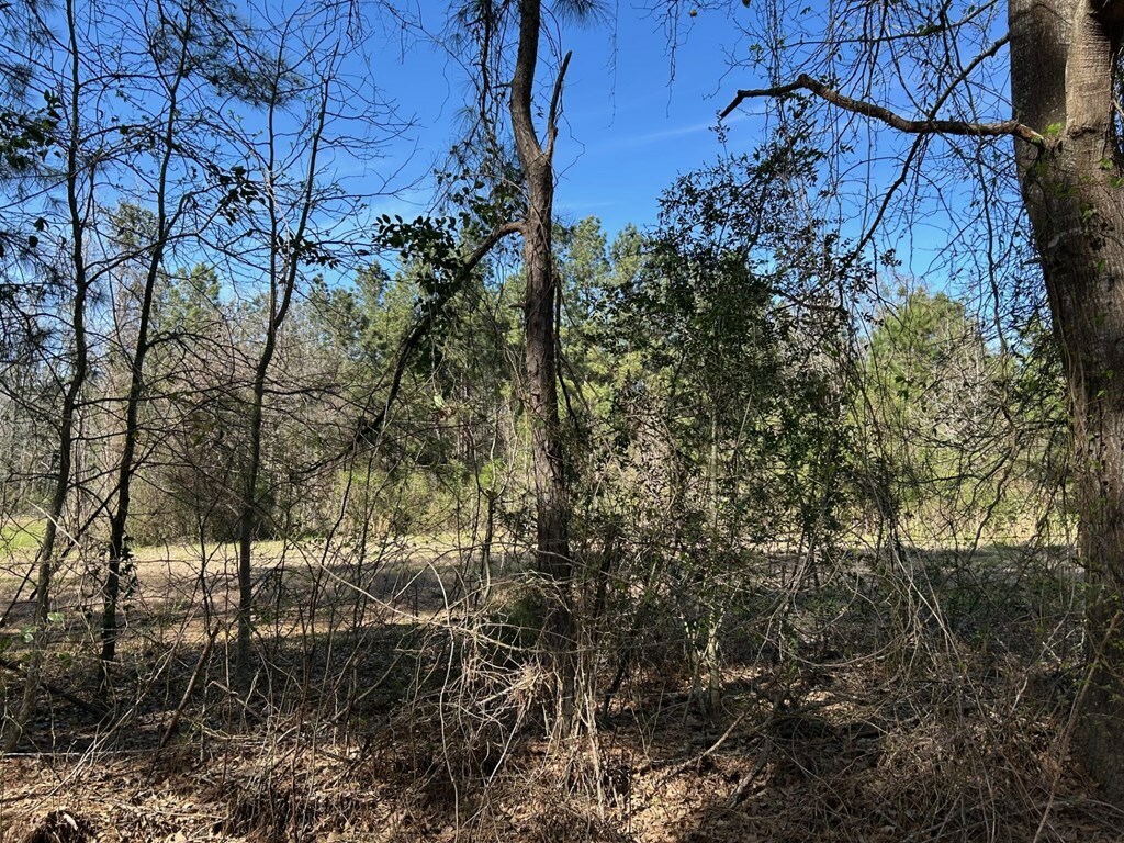 Property Photo: 214 Haddaway Lane TX 75901