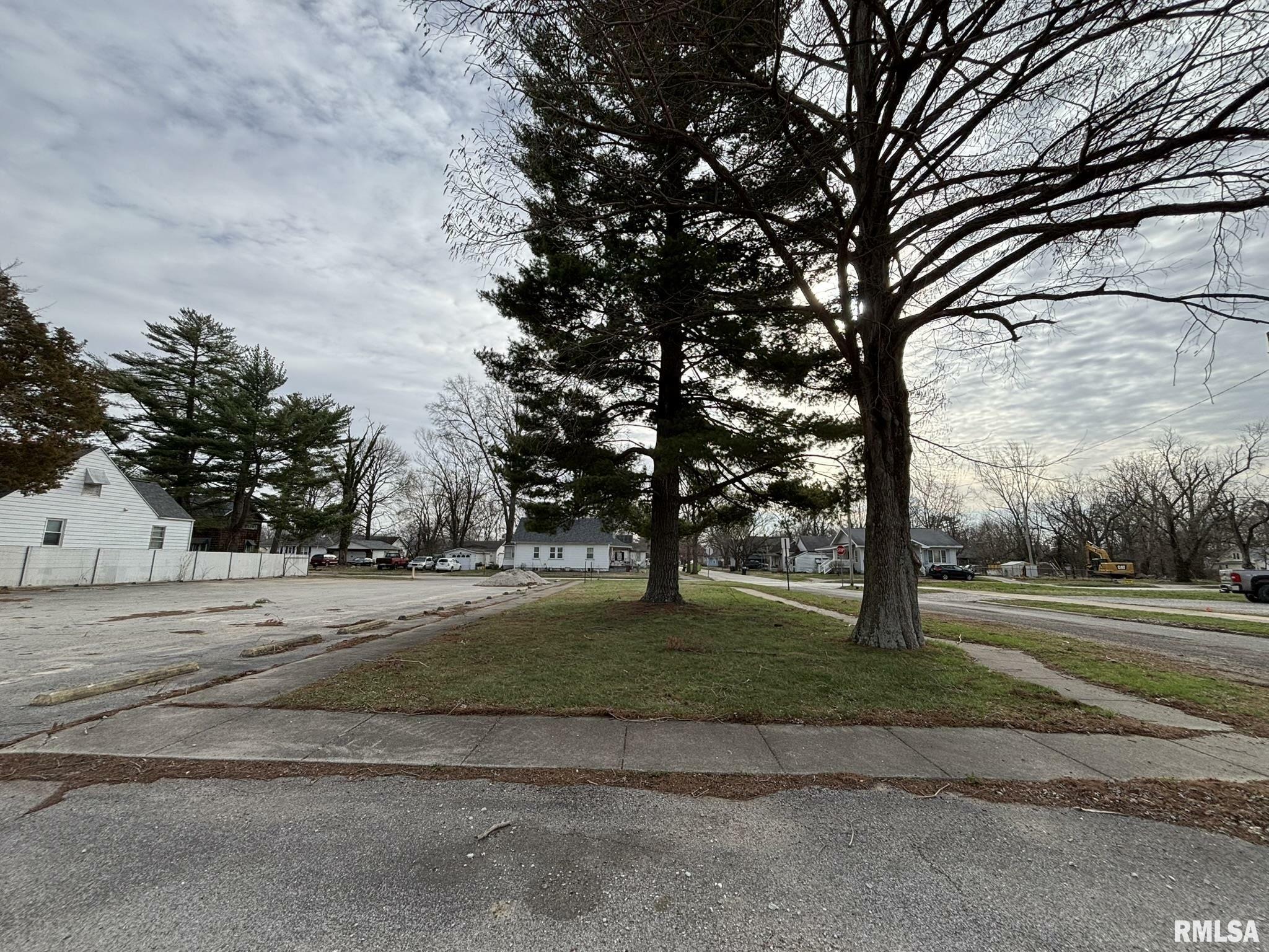 Property Photo: Lot 5 N College Avenue IL 62881