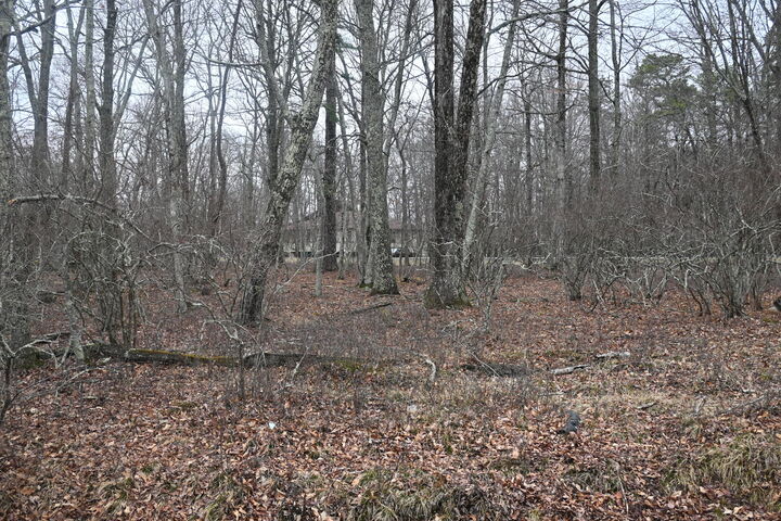 Property Photo:  Oakenshield Drive  PA 18371 