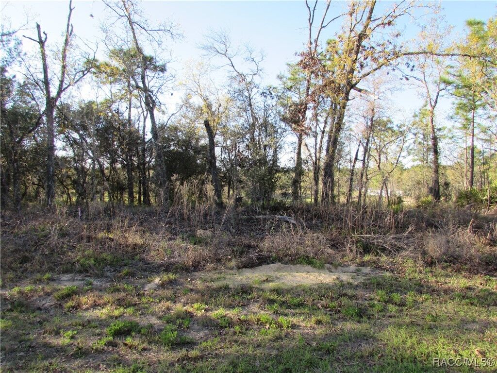 Property Photo:  1255 W Nankeen Drive  FL 34434 
