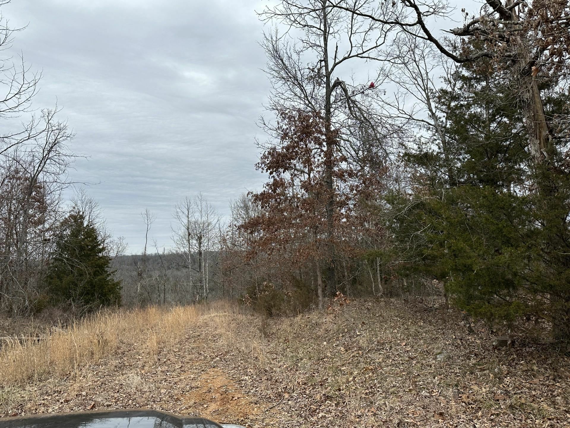Property Photo: Lot 1 Deer Meadows Lane AR 72687