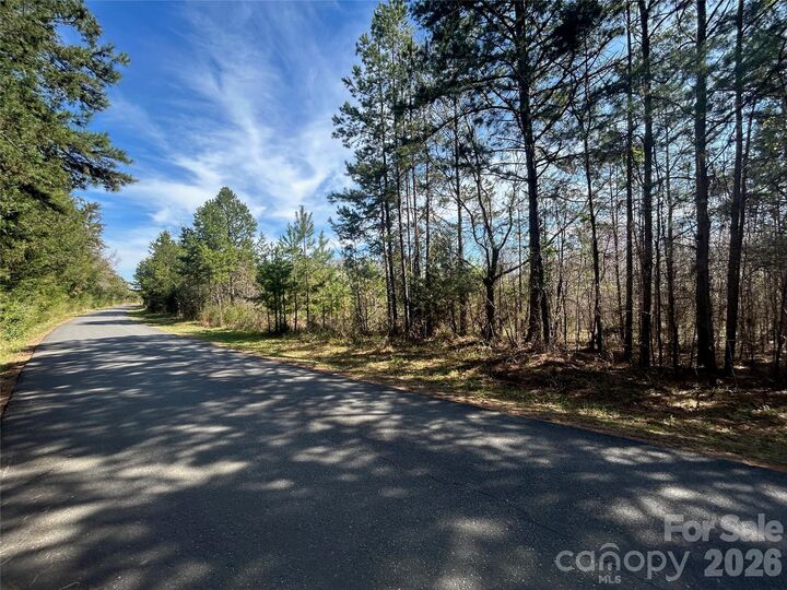 Property Photo:  Tbd Green Pond Road  SC 29707 