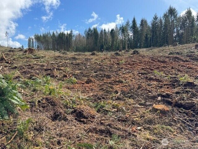 Property Photo: 0 Lot 1 August Road WA 98532