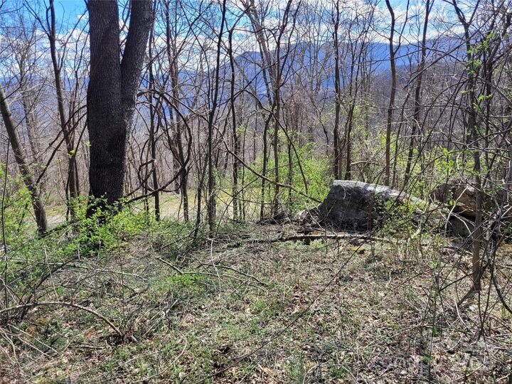 0 Purple Martin Lane 22  Waynesville NC 28785 photo