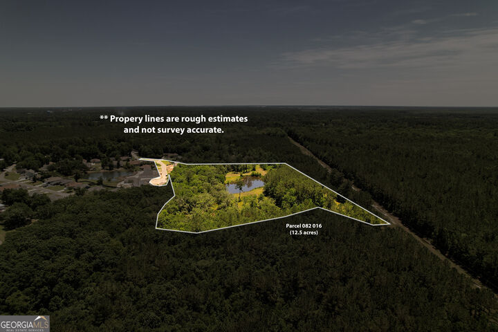 Property Photo: 20 Acres Kingsland, West Of Hwy 17 GA 31548