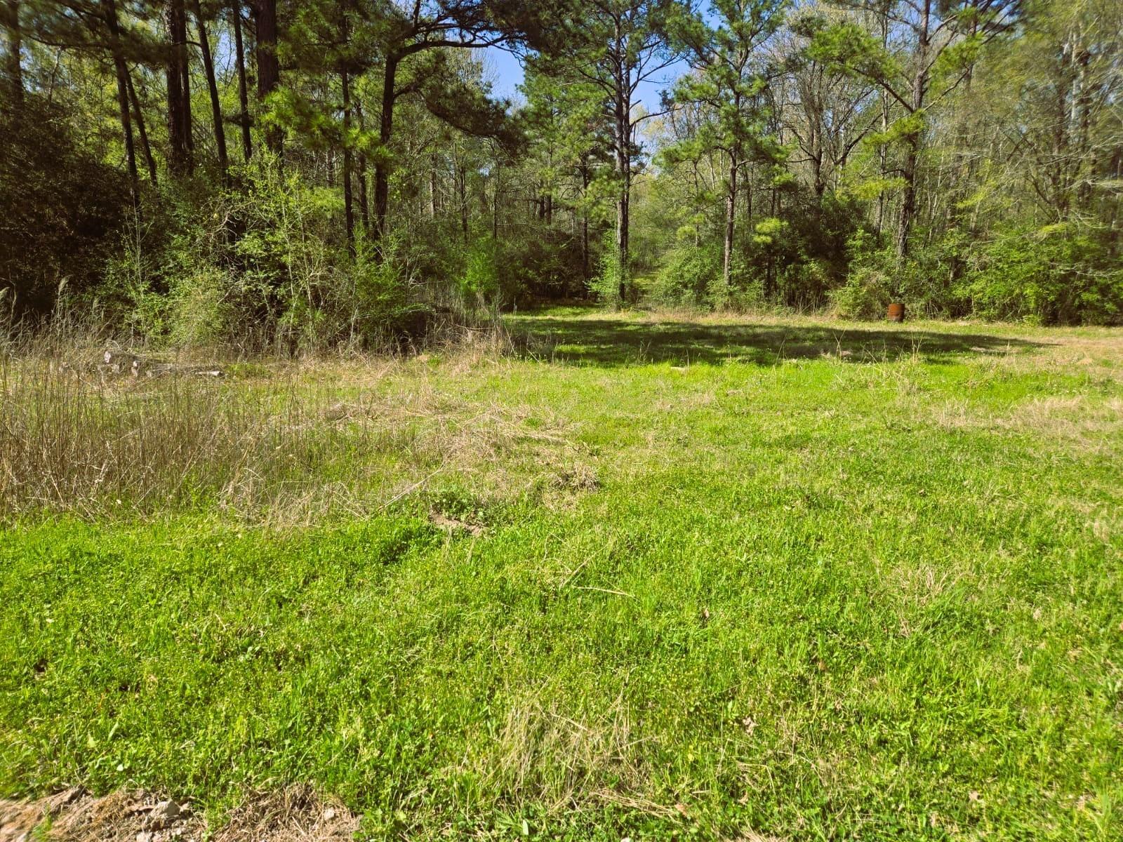 Property Photo: 278 Reggie Lane TX 75862
