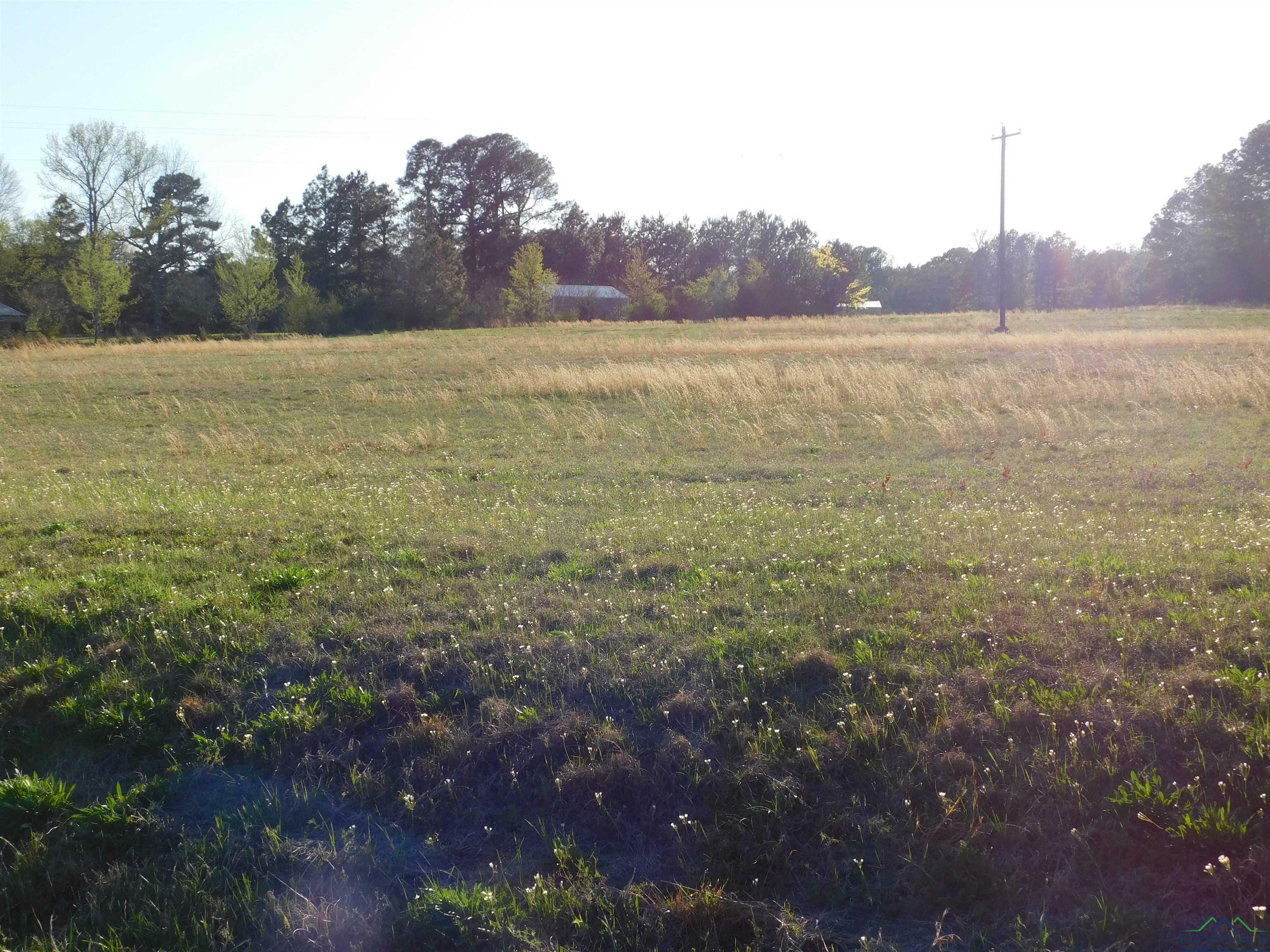 Tbd Fm 2685  Gilmer TX 75645 photo