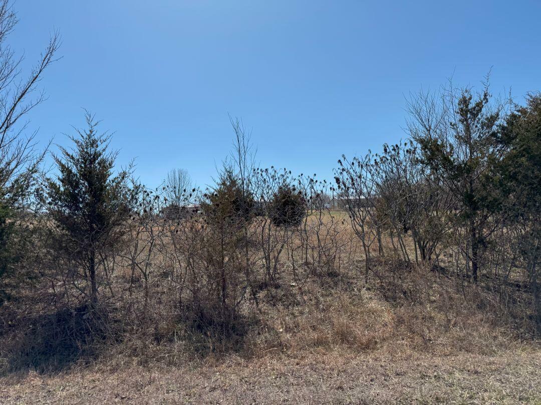 Tbd Lot 59 Blockade Village North  Seligman MO 65745 photo