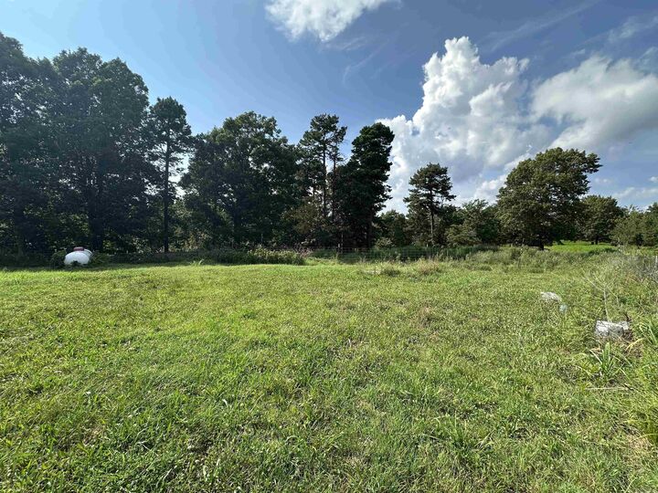 Property Photo:  231 Jones Road  AR 72687 