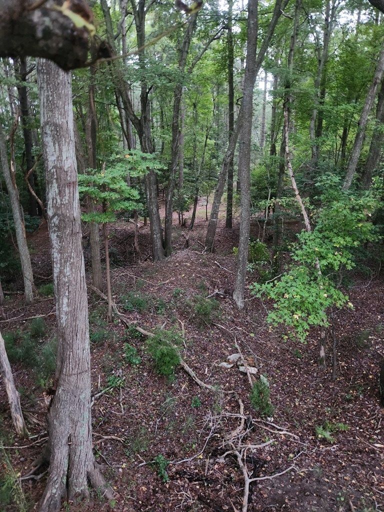 Property Photo: Lot 17 Red Bank Rd VA 23413