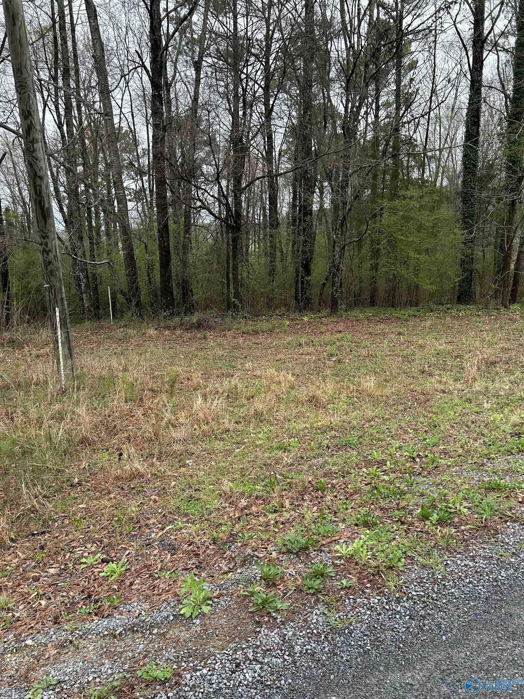 Property Photo: Lot 11, 0.91 Ac Dry Creek Road AL 35049