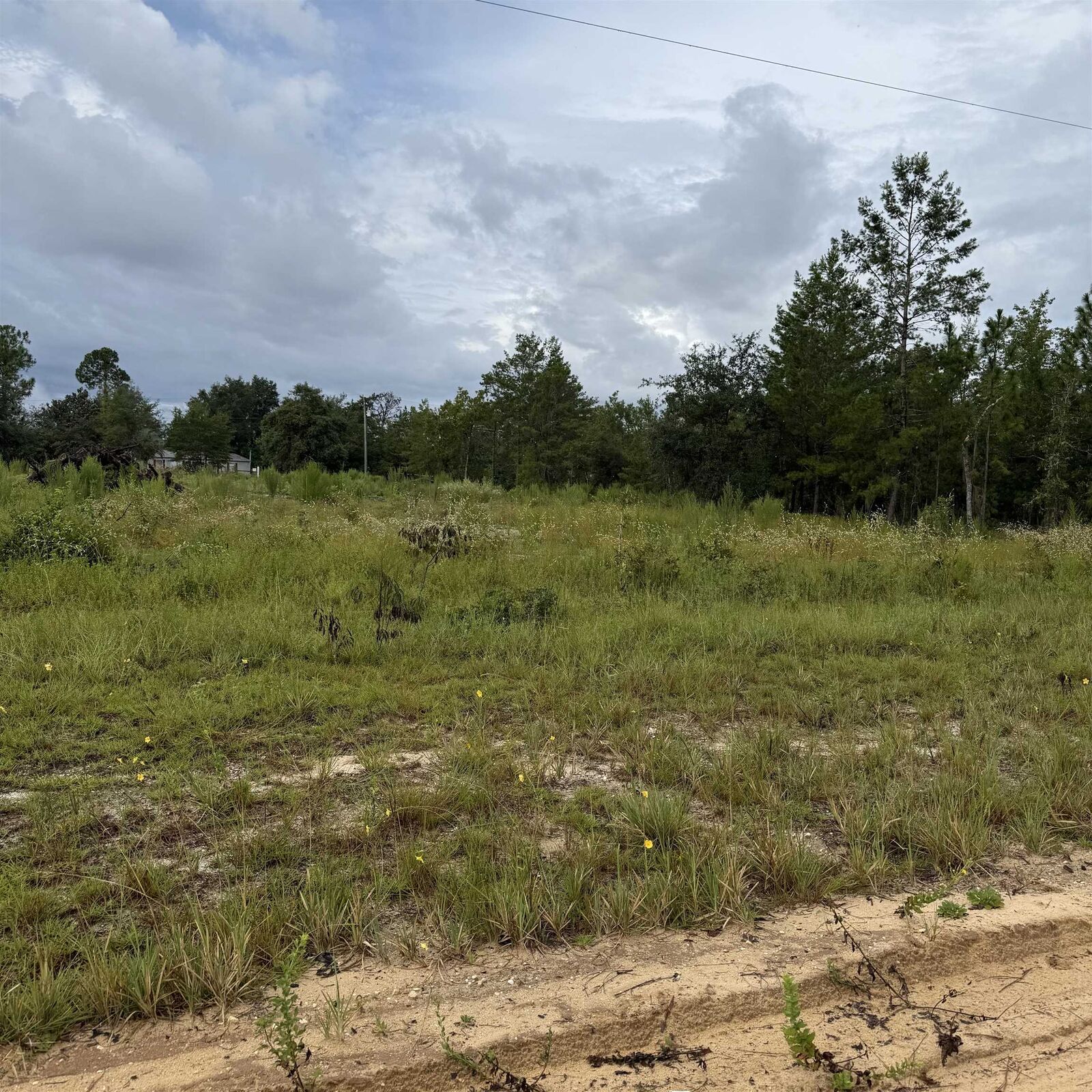 Property Photo: 533 Interlachen Blvd FL 32148