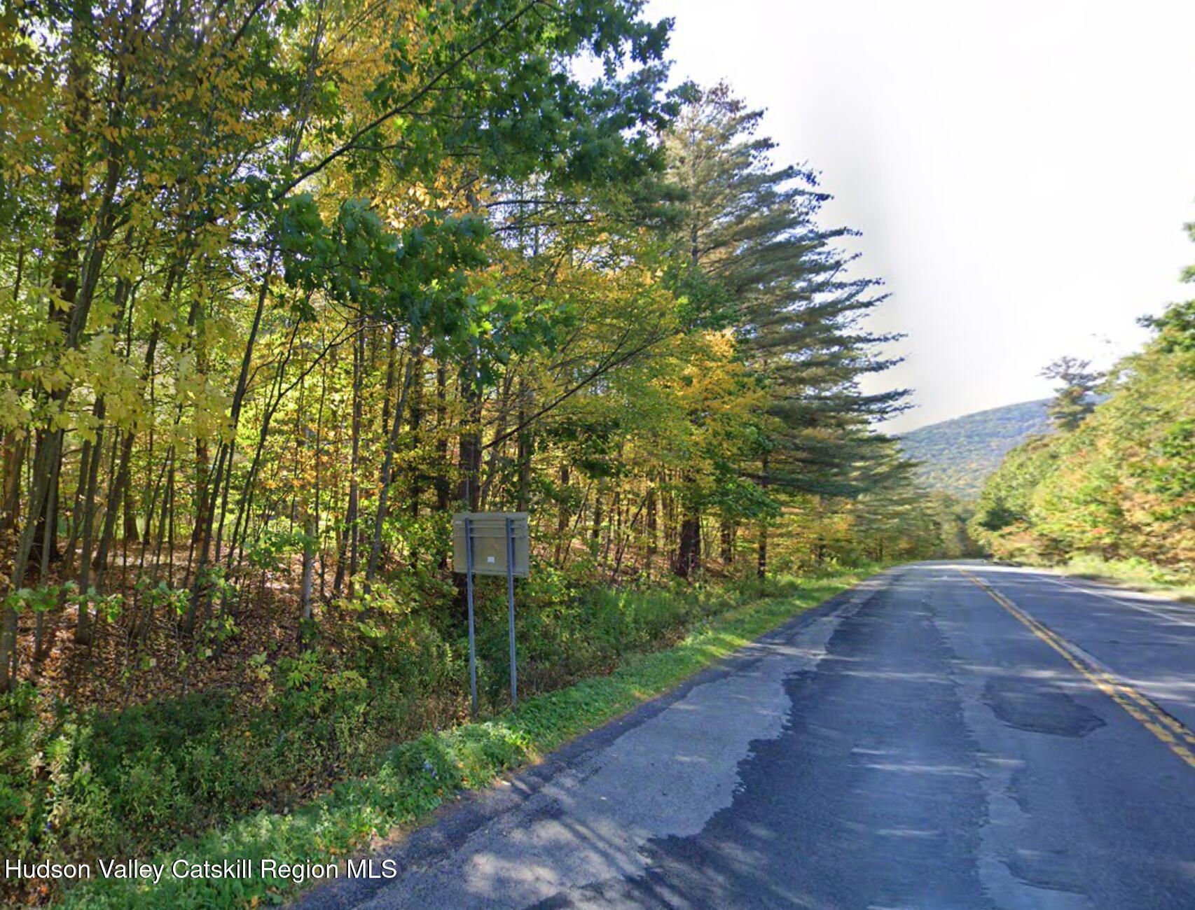 Tbd Route 28  Shandaken NY 12480 photo