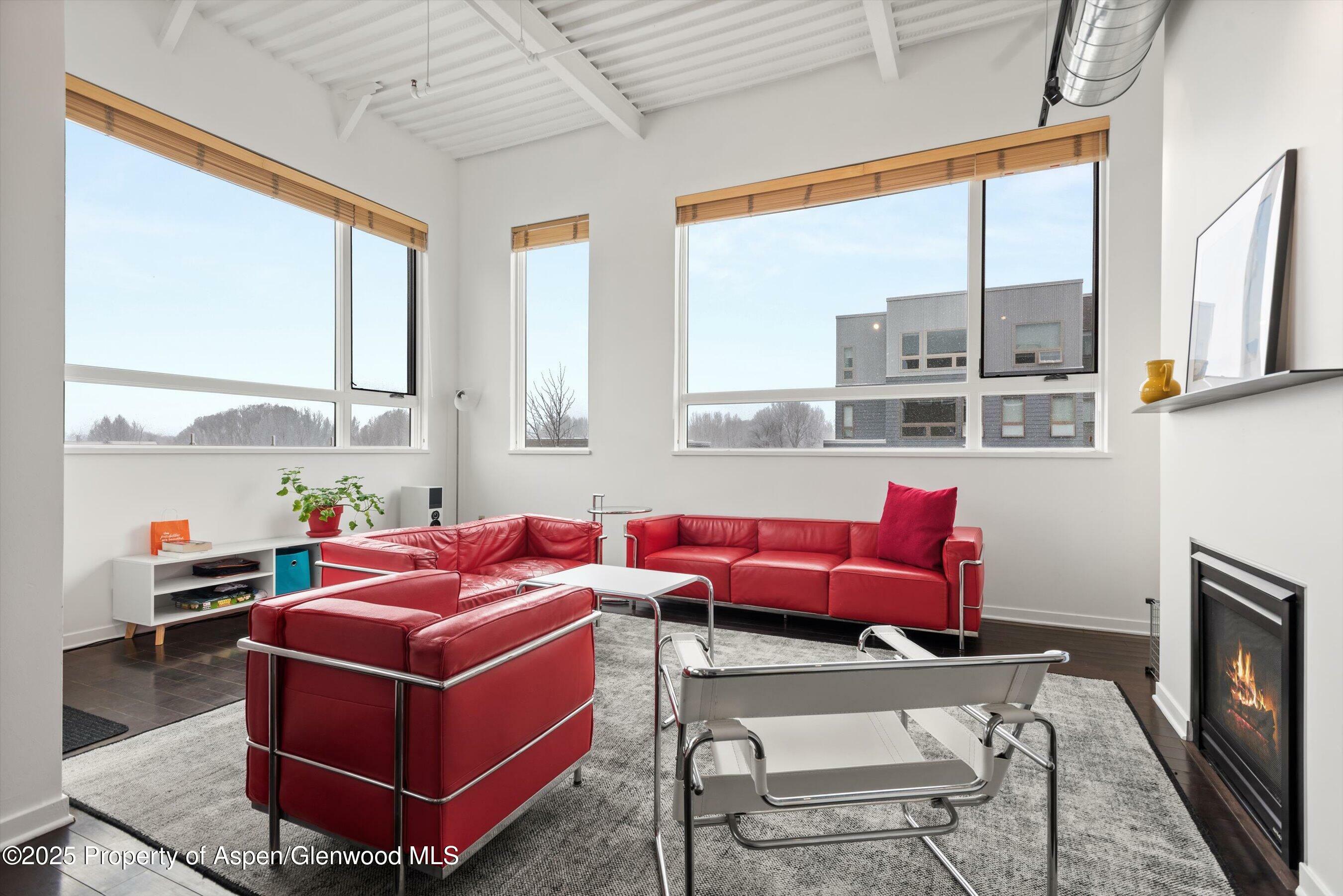 Property Photo: 361 Robinson Street 238 CO 81621