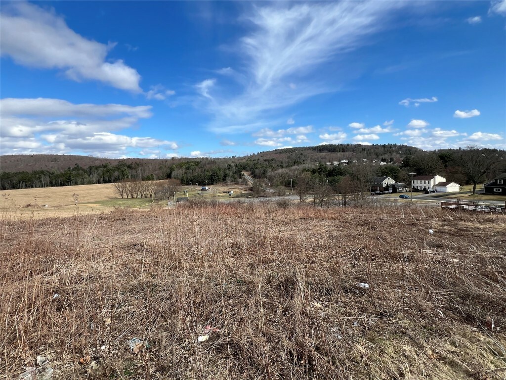 Property Photo: 1108 Farm To Market Road NY 13760