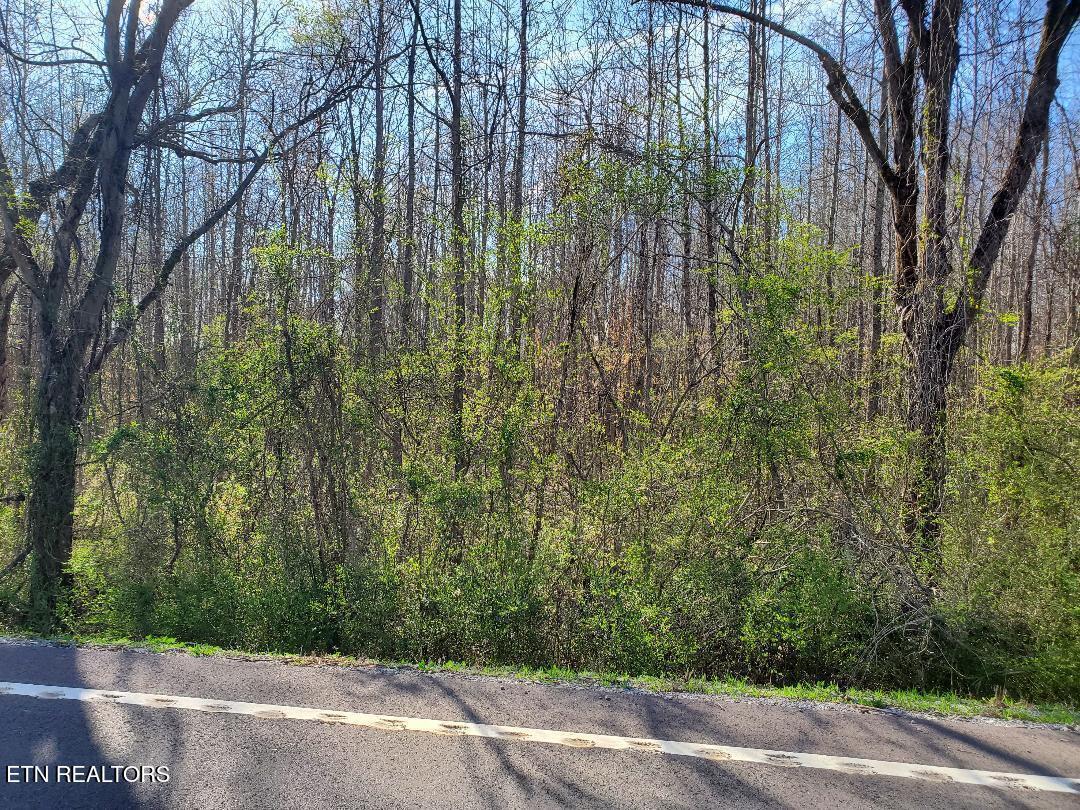 Lot 6 Highway 304  Decatur TN 37322 photo