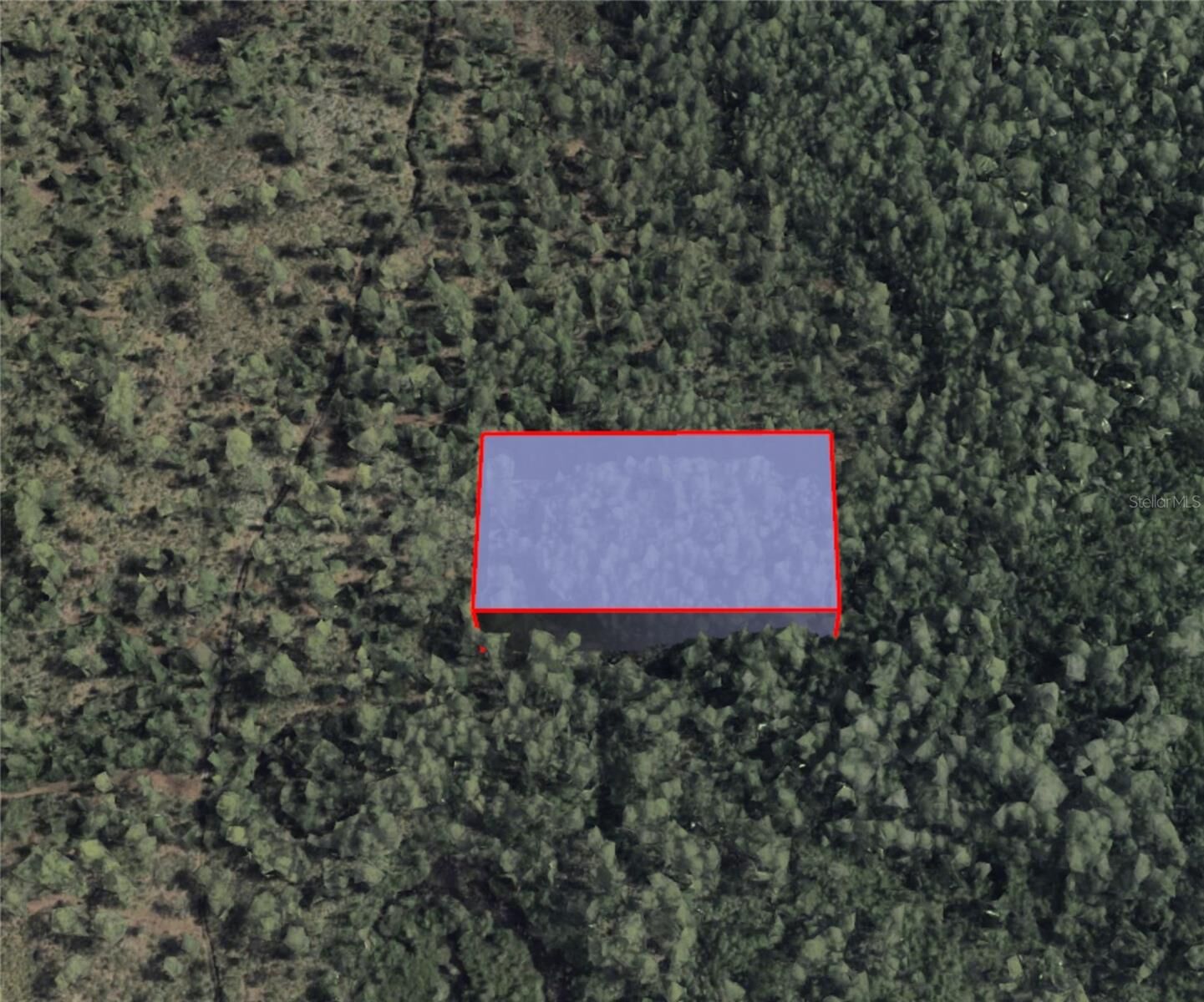 Property Photo: 1080 Dill Road FL 32820