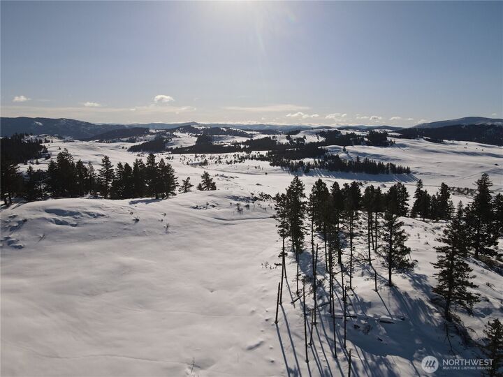 Property Photo:  100 Tbd S Teal Lake Road  WA 98844 