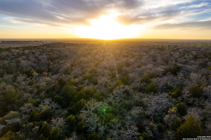 Property Photo: 1512 Boulder Lane TX 78632