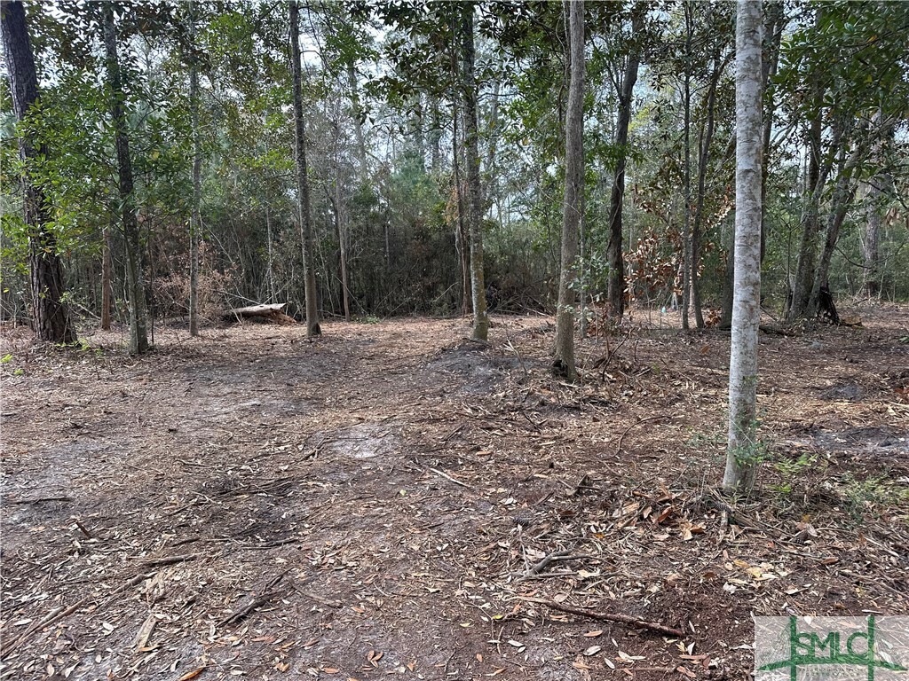 Property Photo: 0 Oemler Road GA 31410