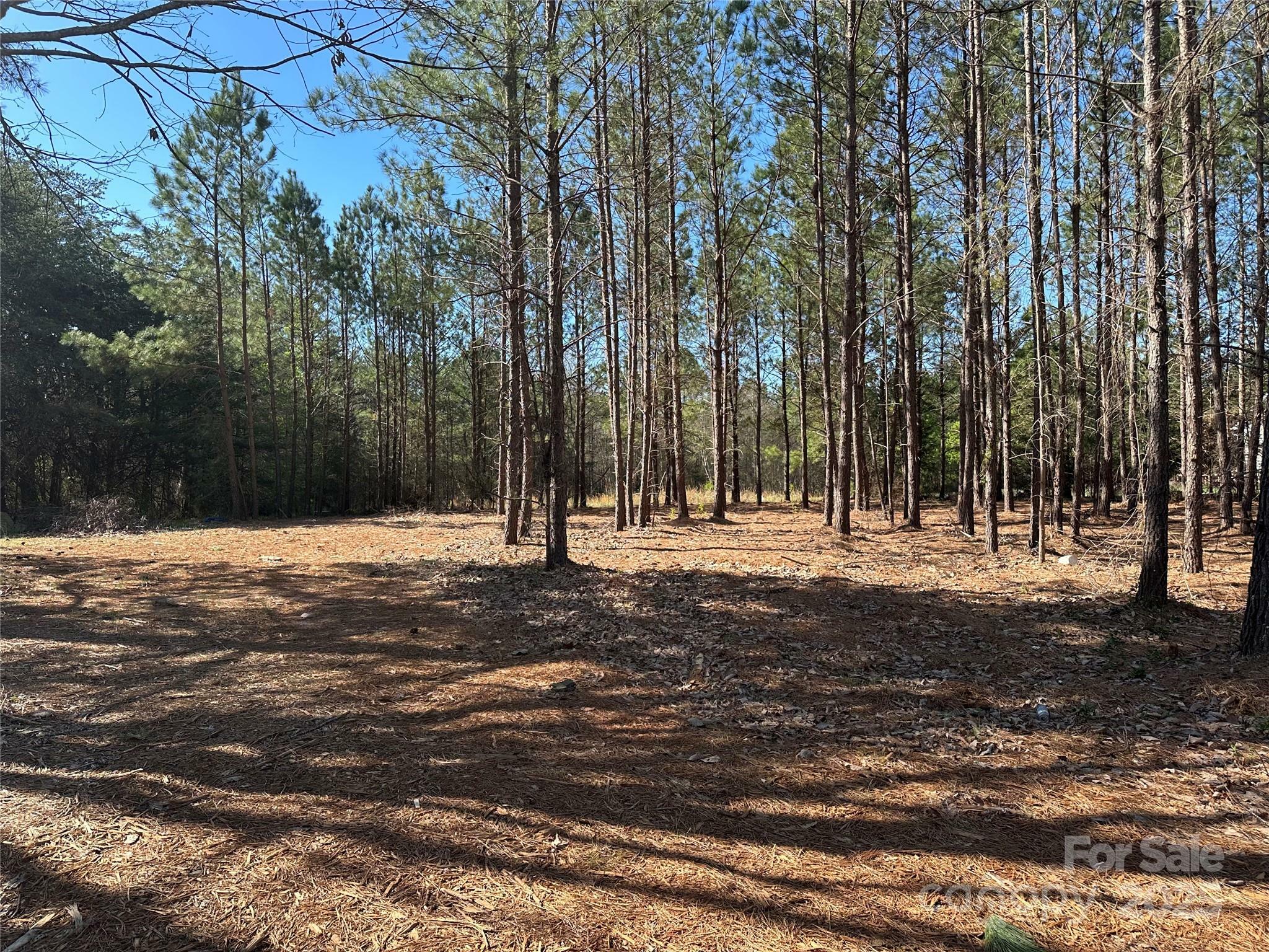 Property Photo: 4281 East Maiden Road NC 28650