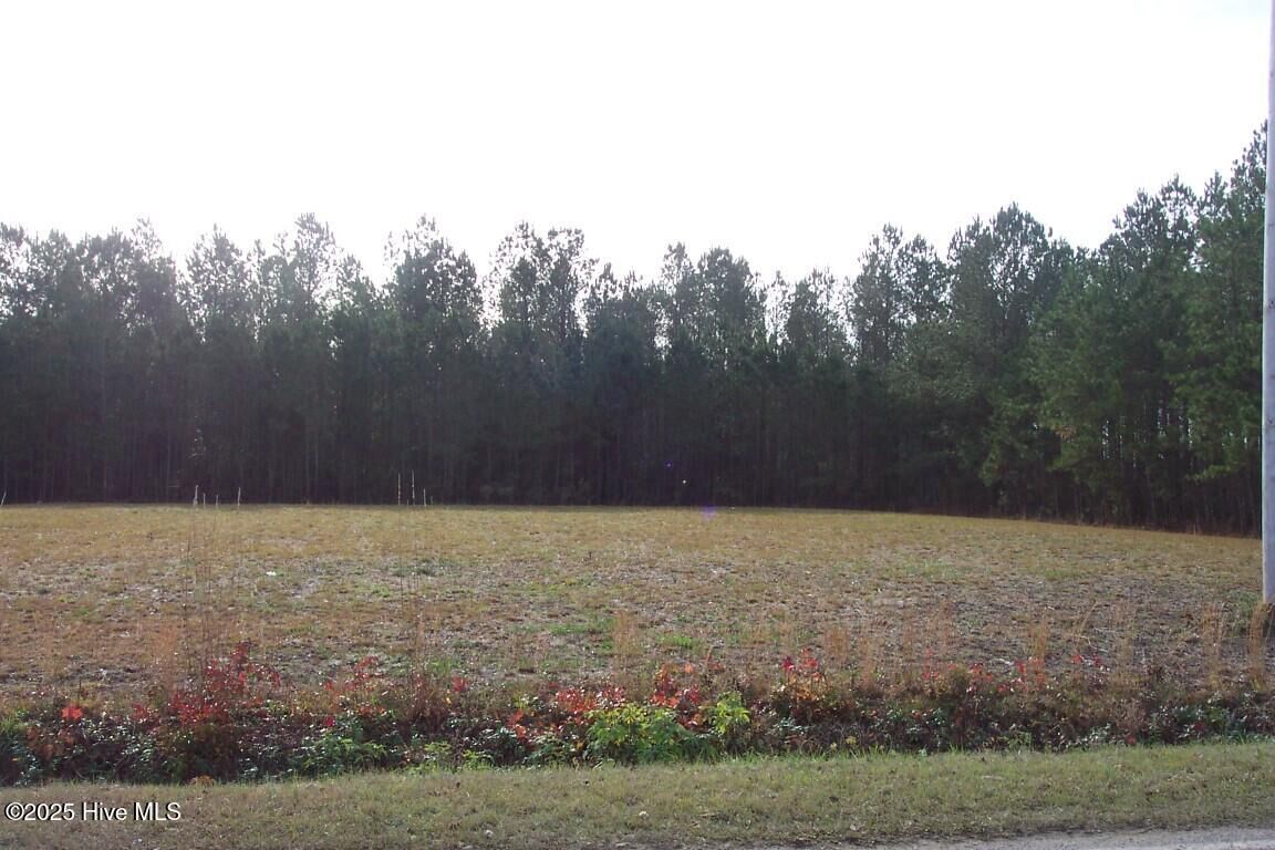 Property Photo: 129 Jack Branch Road NC 27849