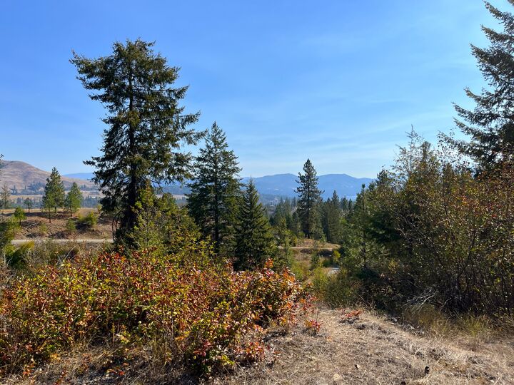 Property Photo:  Tract 2 Cowboys And Angels Ave  WA 99141 