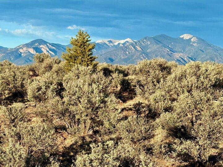 Property Photo: Rahill Cul De Sac NM 87557