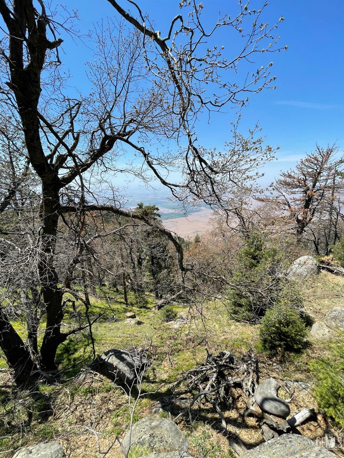 Property Photo:  26981 Medicine Bow Court  CA 93561 