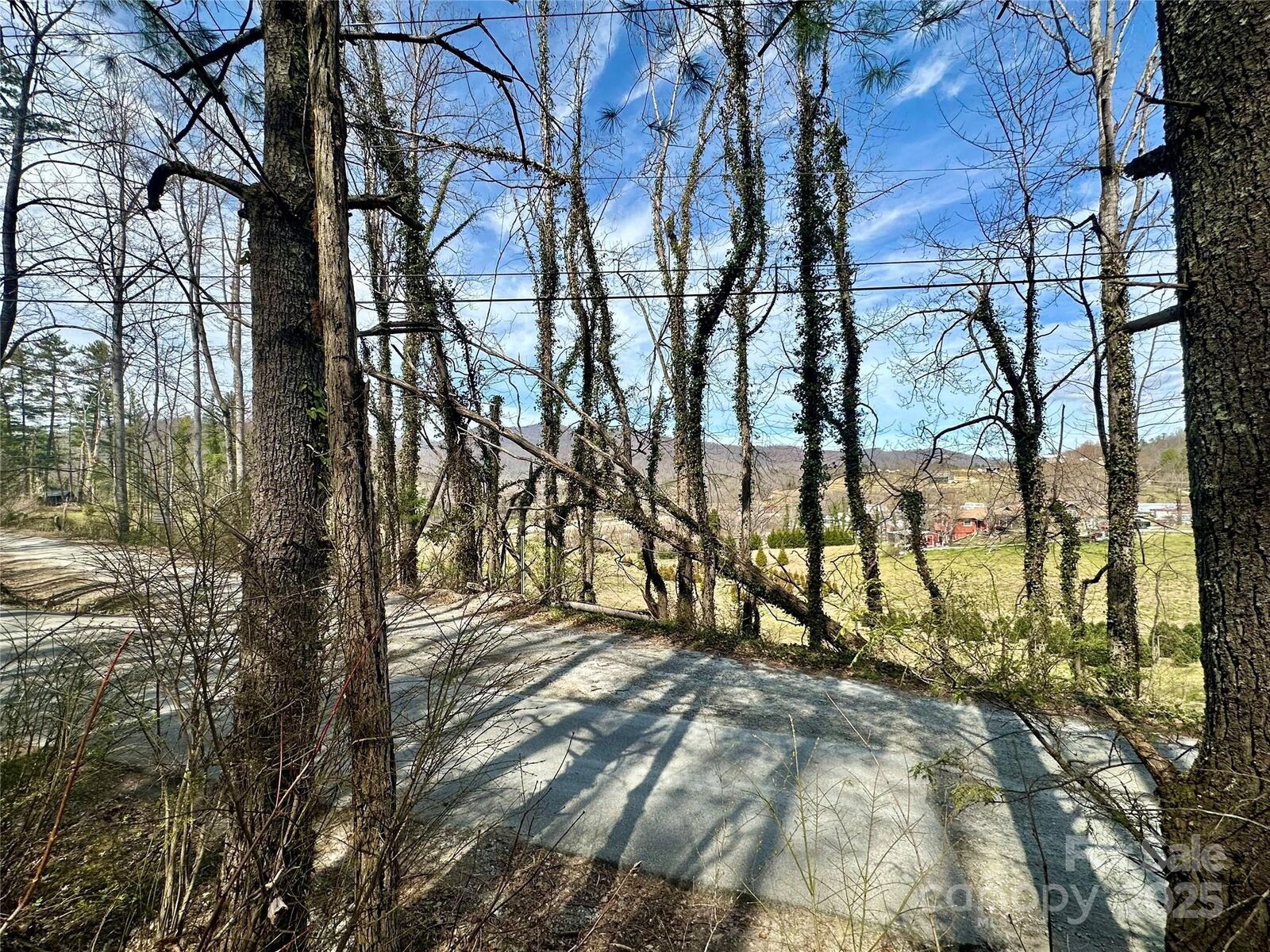 Property Photo:  00 Woodlyn Etch Drive 1  NC 28792 