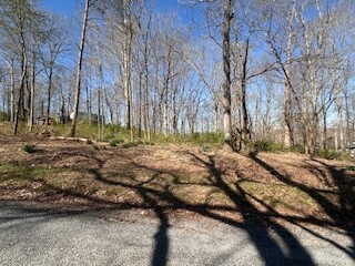0 Cross Creek Rd N  Joelton TN 37080 photo