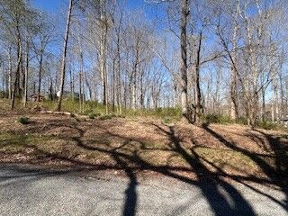 Property Photo: 0 Cross Creek Rd N TN 37080