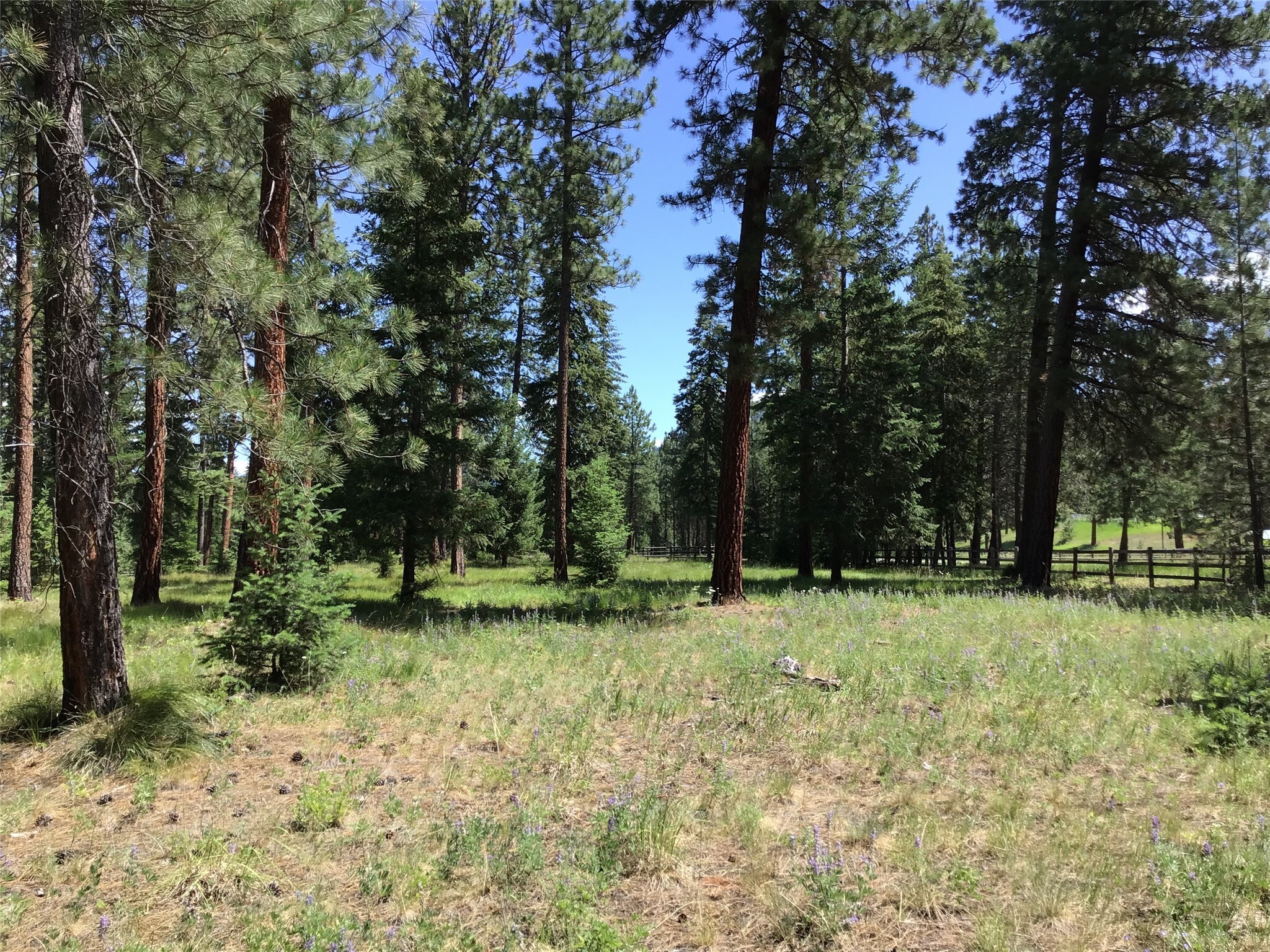 Property Photo: 11 River Run Loop MT 59866