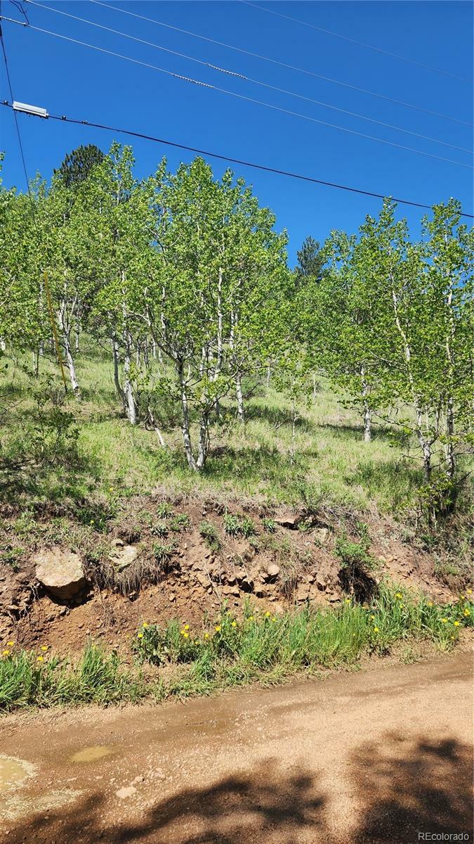 Property Photo: 267 Ward Street CO 80421