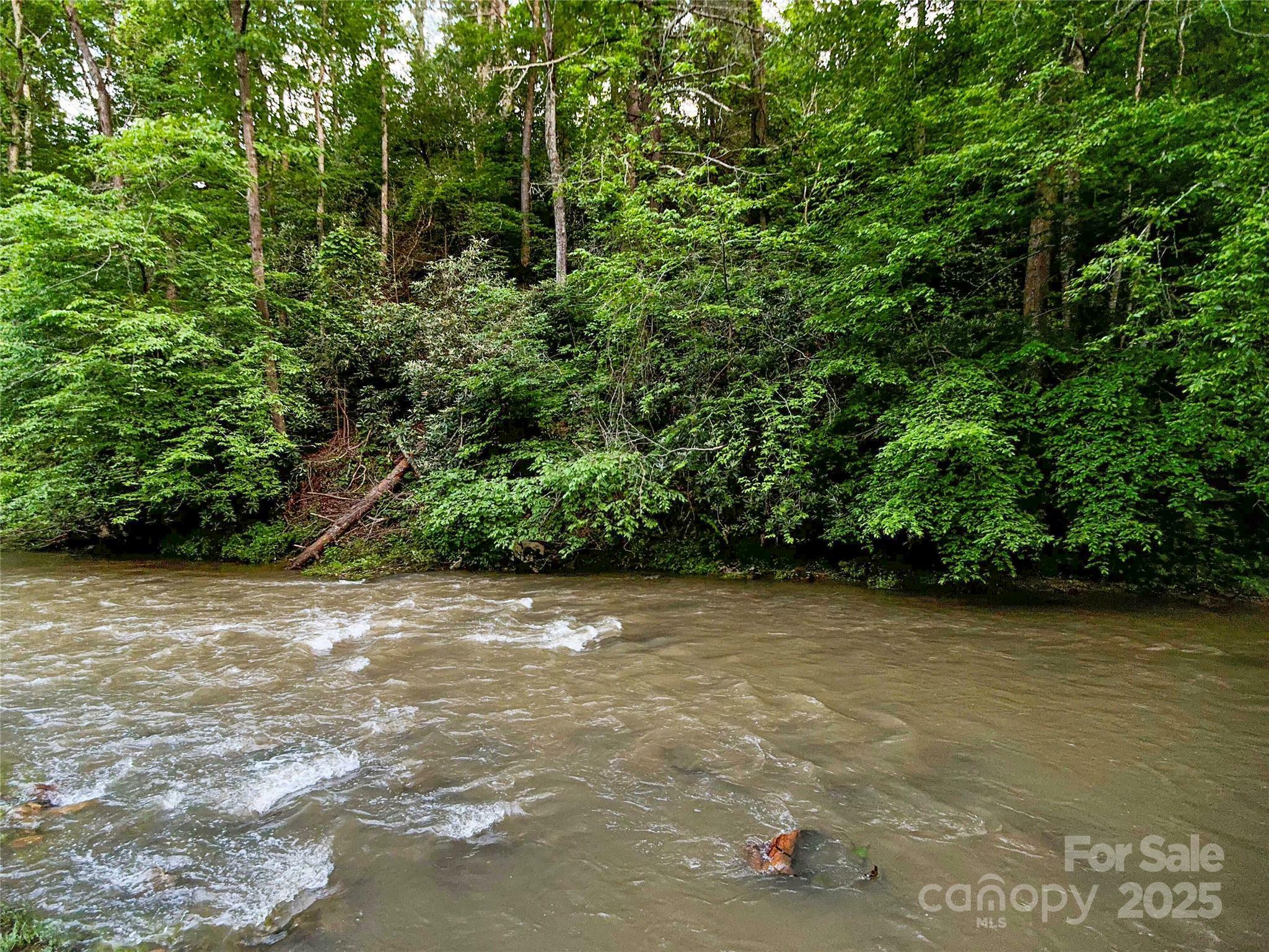 Property Photo: 99999 Bear Creek Road 38 NC 28753