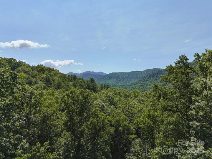 201 Ironwood Lane T-100  Black Mountain NC 28711 photo