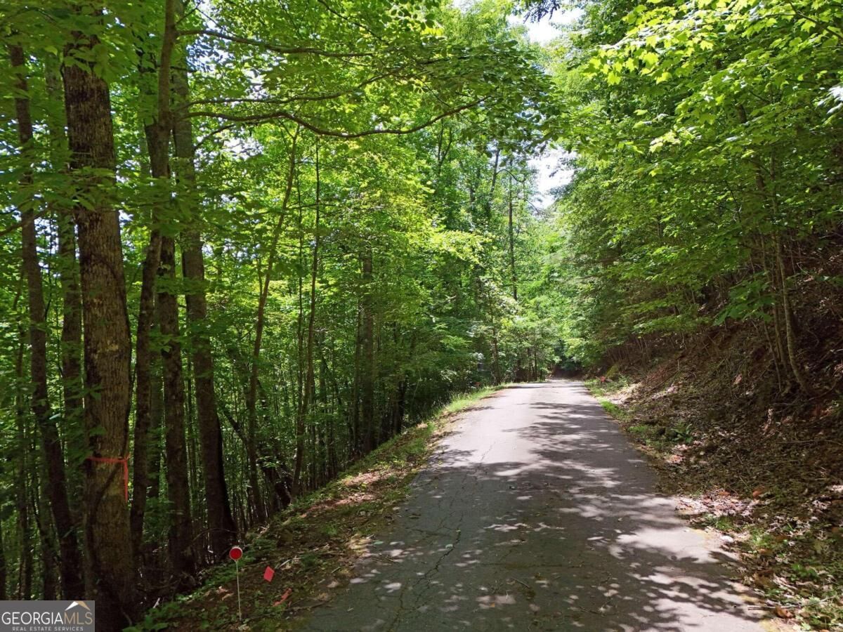 Property Photo:  Lot 30 Hidden Summit Road  GA 30546 