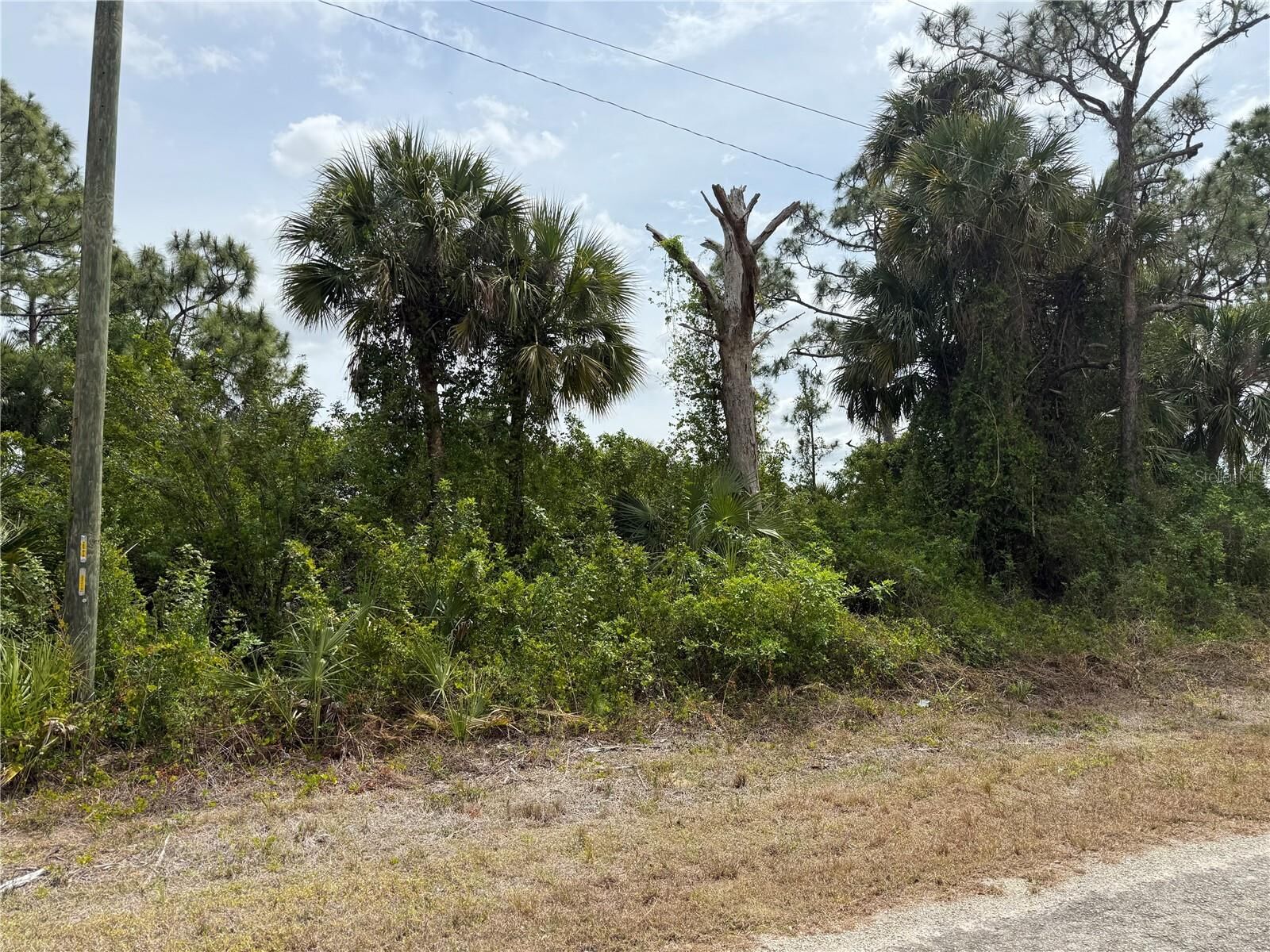 Property Photo:  557 Naples Avenue S  FL 33974 