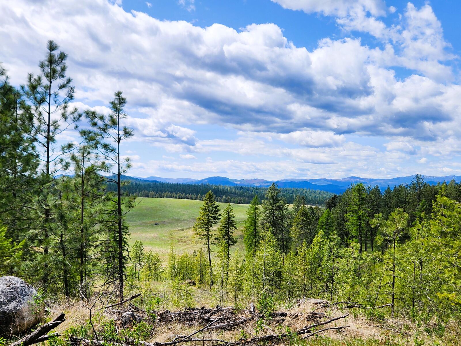 Property Photo: 3669 E Jump Off Joe Rd WA 99181