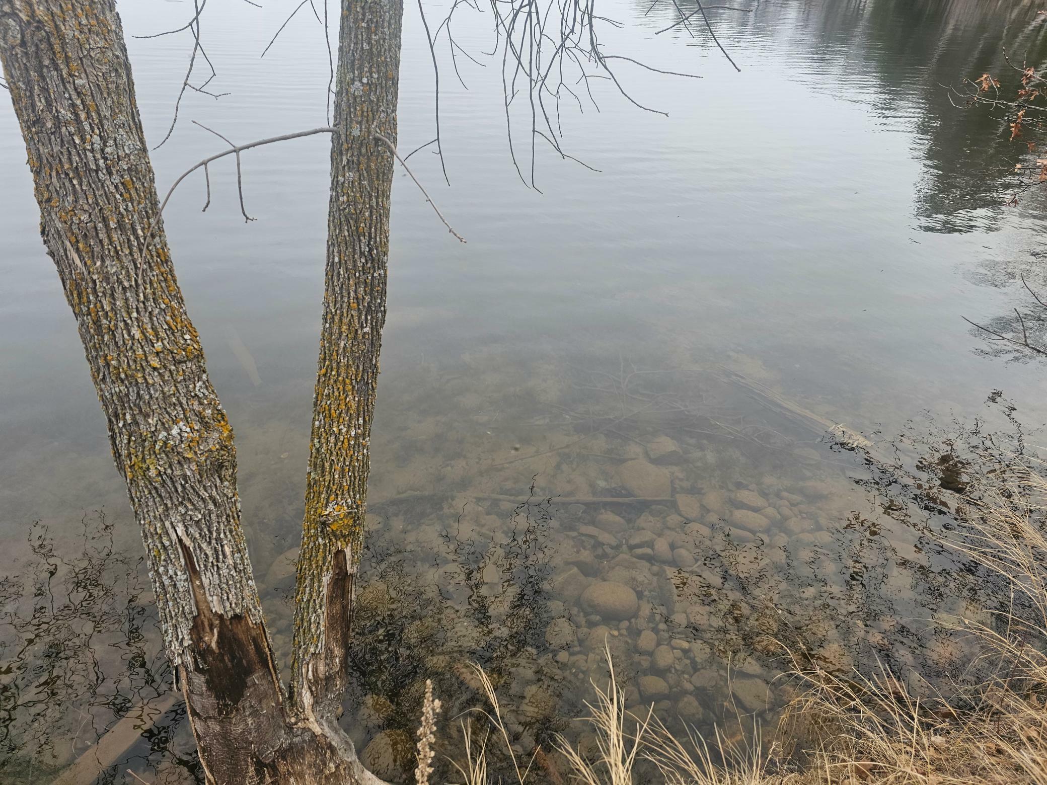 Property Photo: 25813 County Road 133 MN 56444