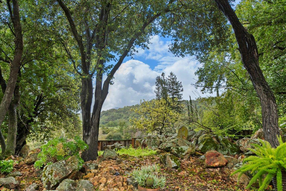 Property Photo: 6641 Leyland Park Drive CA 95120