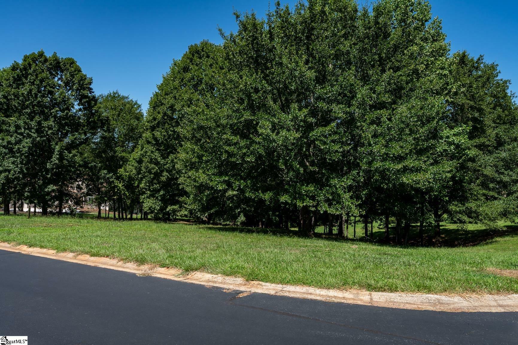 Property Photo: 122 Harbour Pointe Drive SC 29323