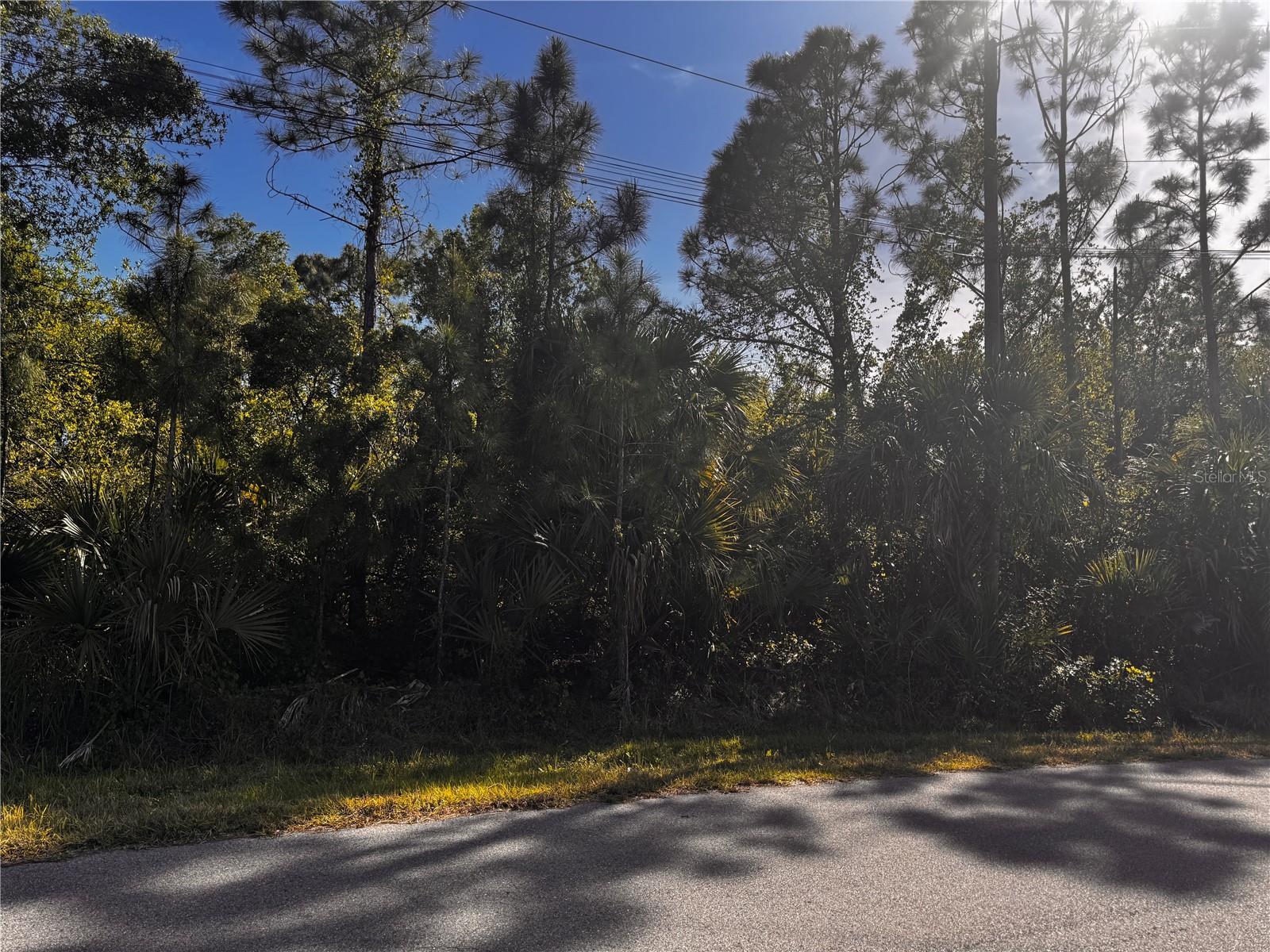 Property Photo: Sawyer Circle FL 34288