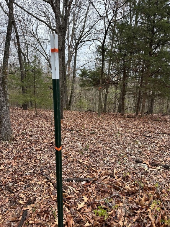 Property Photo:  1601 Mundell Road  AR 72631 