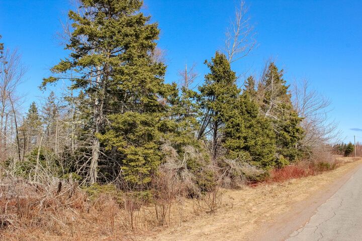 Peters Road — photo 1