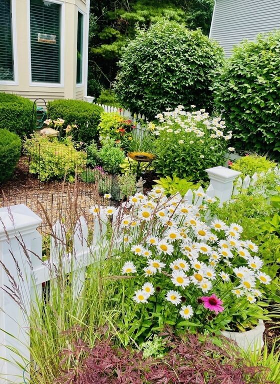 Property Photo: 72 Cannon Forge Dr 72 MA 02035